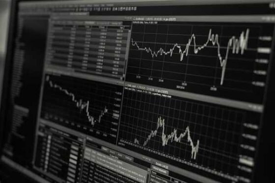 Economy 101: Easy Guide for Newbies to Get Started
